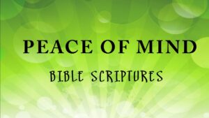 Peace Of Mind Audio Bible Scriptures To Harp Bible Tv