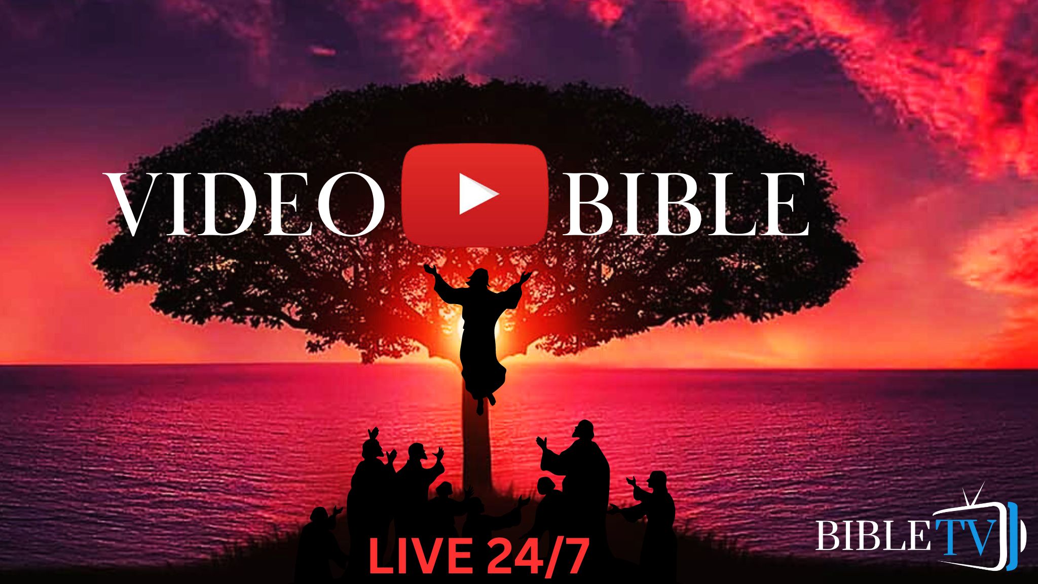  Video Bible